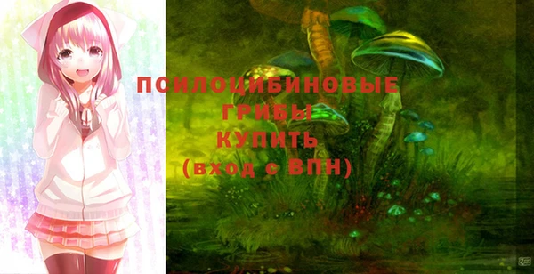 круглые Абаза