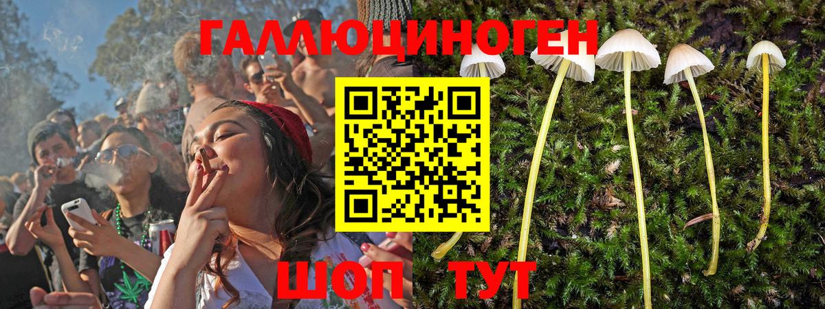 Галлюциногенные грибы Psilocybine cubensis  Галлюциногенные грибы мицелий  наркошоп  Вход с VPN  Аксай 