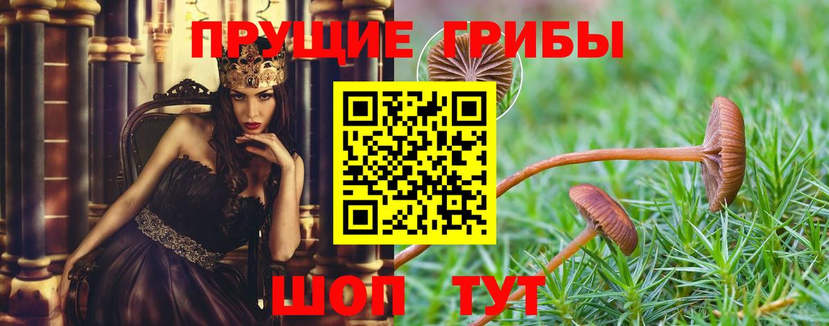 Галлюциногенные грибы MAGIC MUSHROOMS Аксай