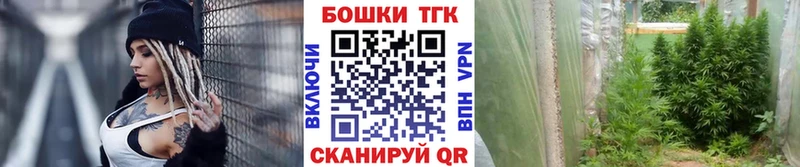 Канабис гибрид  продажа наркотиков  Аксай 